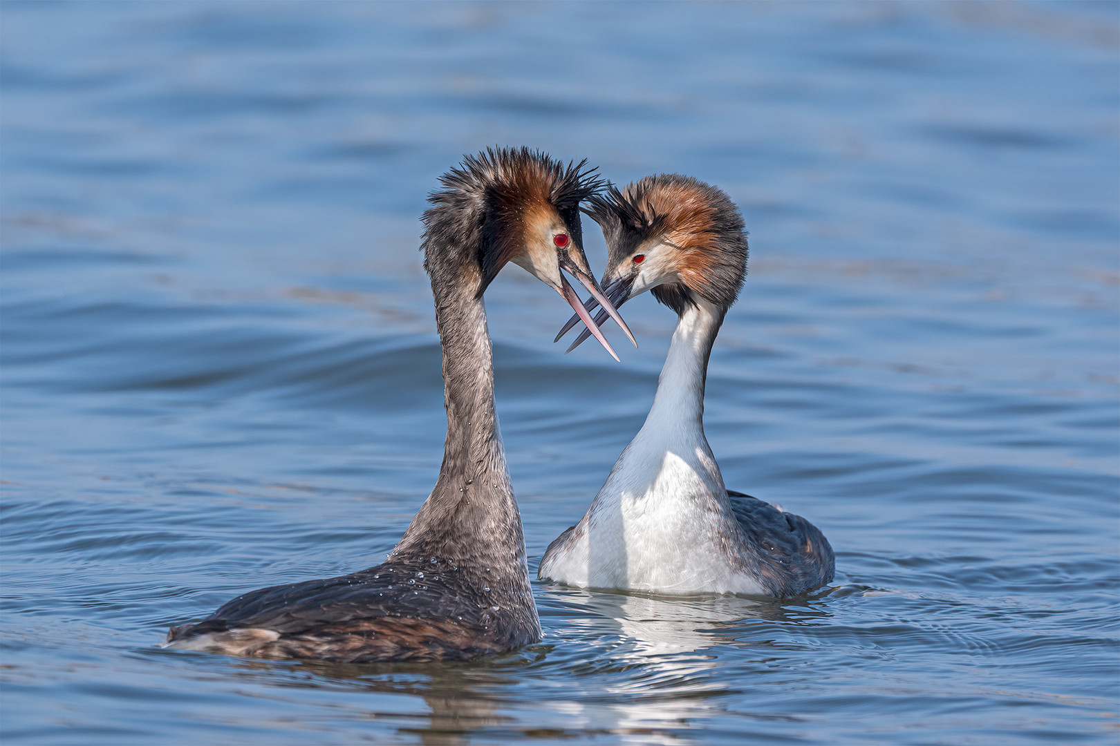 031_Steinhude / Steinhuder Meer