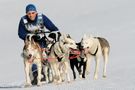 Schlittenhunderennen von Dorothea P.