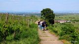 Auf dem Römer Rundwanderweg ! von gorzitze dieter