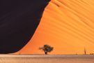 Namibia - Dune 45 by claude_castor