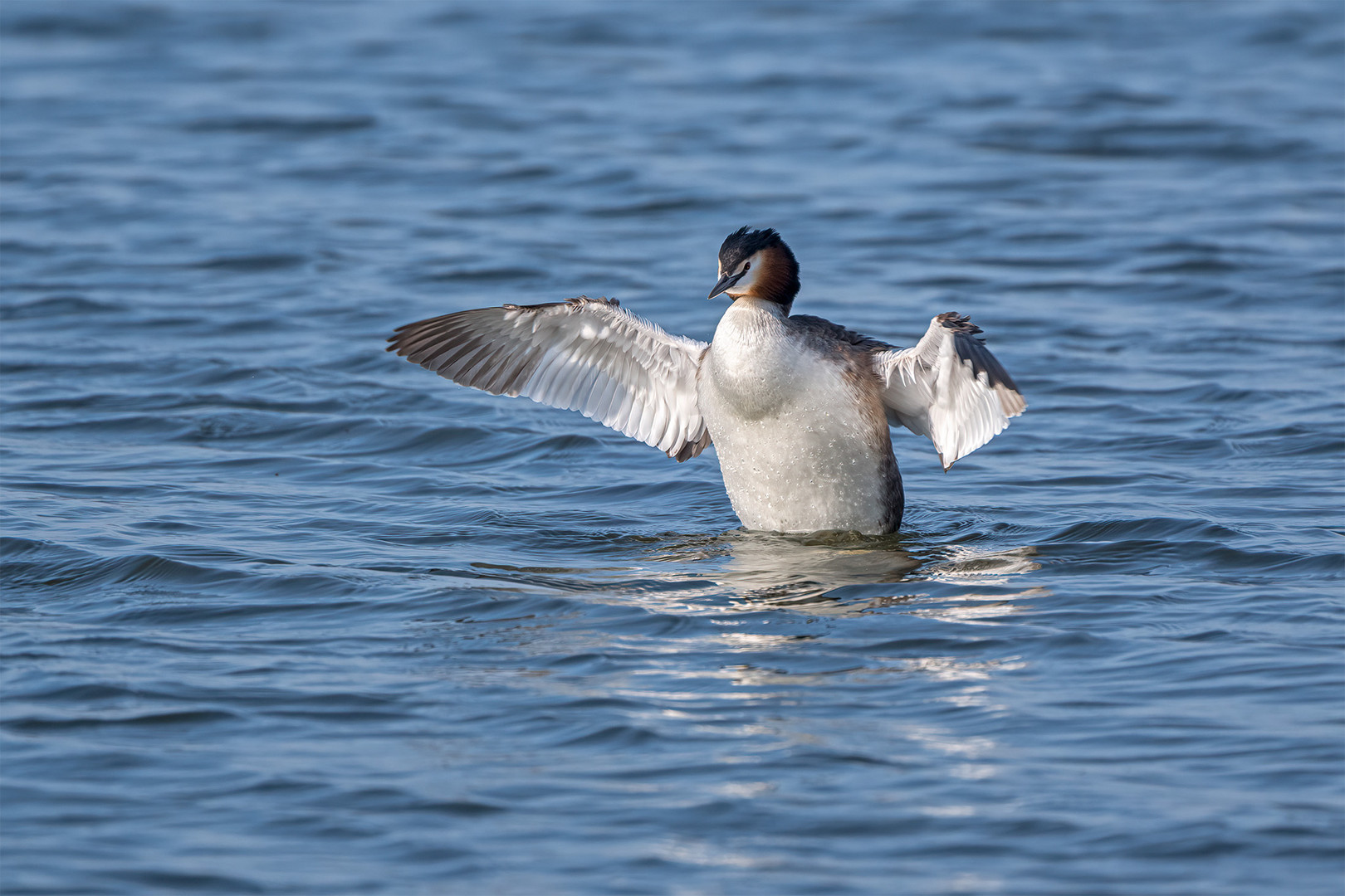 033_Steinhude / Steinhuder Meer