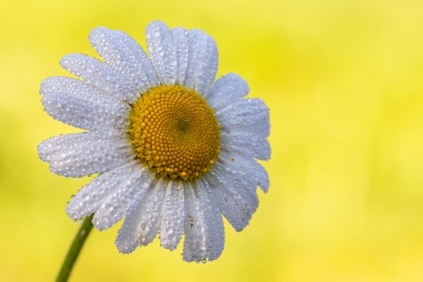 034-20210919 - Rechberghausen-Grundstück - _U8A0017