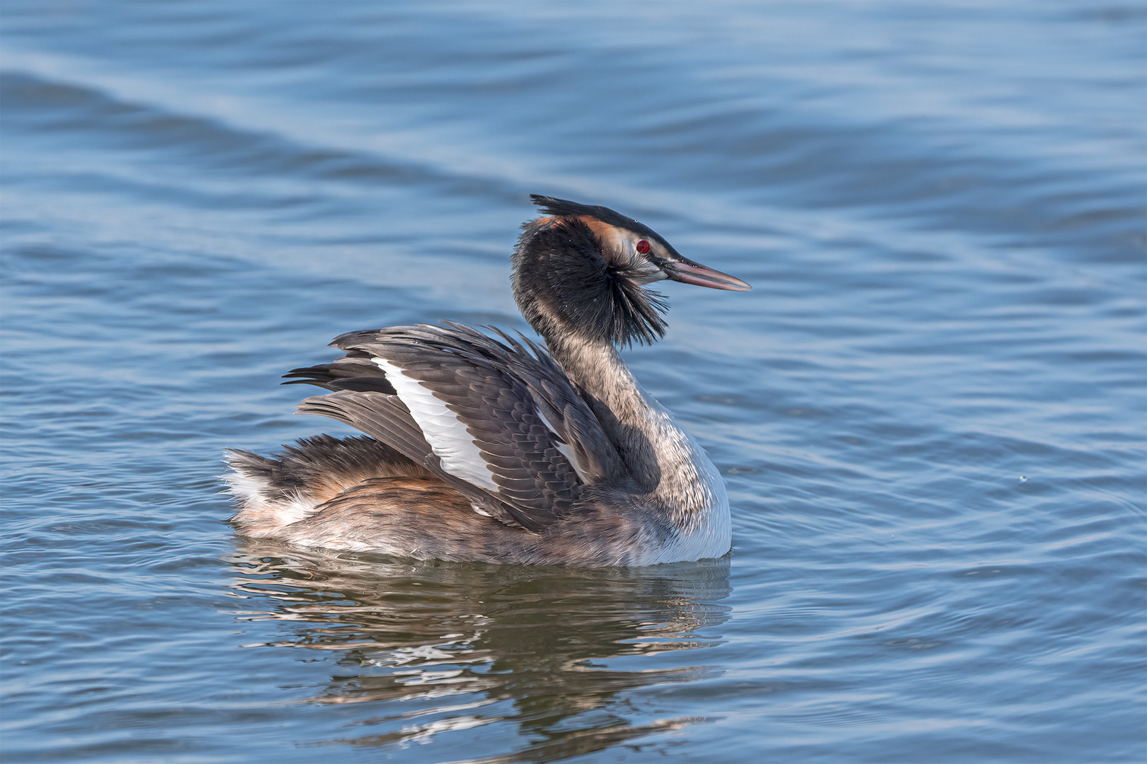 034_Steinhude / Steinhuder Meer