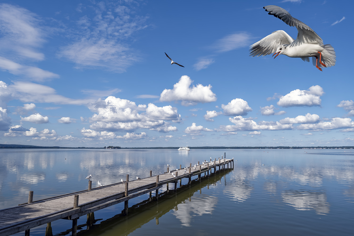 0377SC Steinhude am Meer  Ausflugsschiff mit Insel Wilhelmstein und Wolkenstimmung mit Möwen im Flug