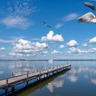 0377SC Steinhude am Meer  Ausflugsschiff mit Insel Wilhelmstein und Wolkenstimmung mit Möwen im Flug