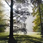 03875 Herbst auf der Insel Mainau