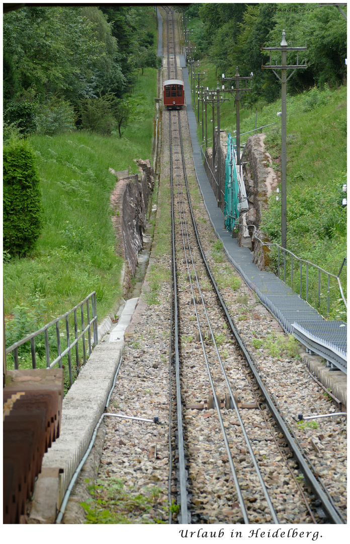 039-2024 Heidelberg