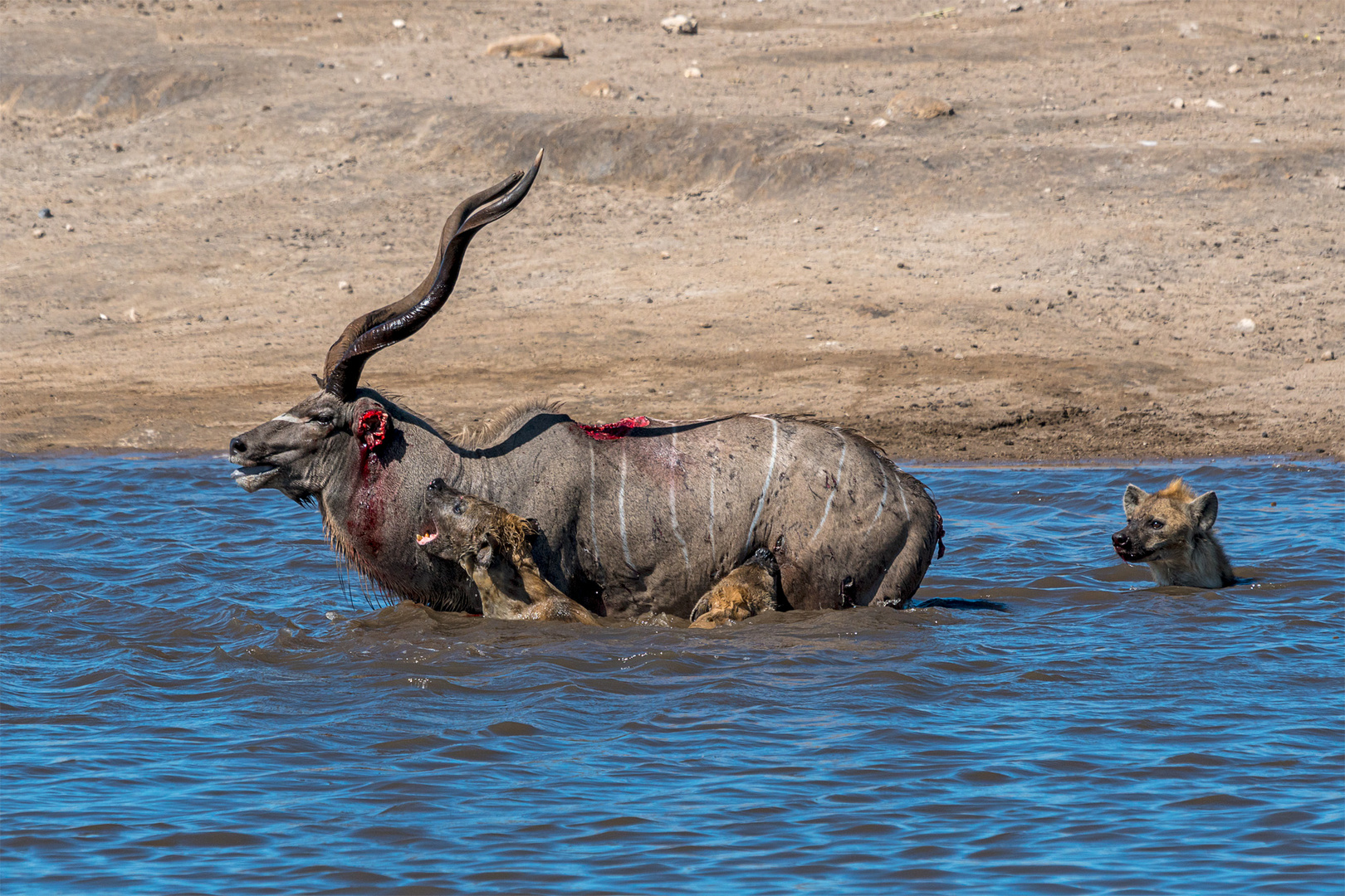 03_Erinnerung an Namibia April 2017