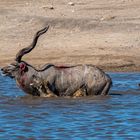 03_Erinnerung an Namibia April 2017