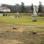 04-03-2018 Neustrelitz und die abben Bäume vom Schlosspark