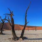 04. Deadvlei 