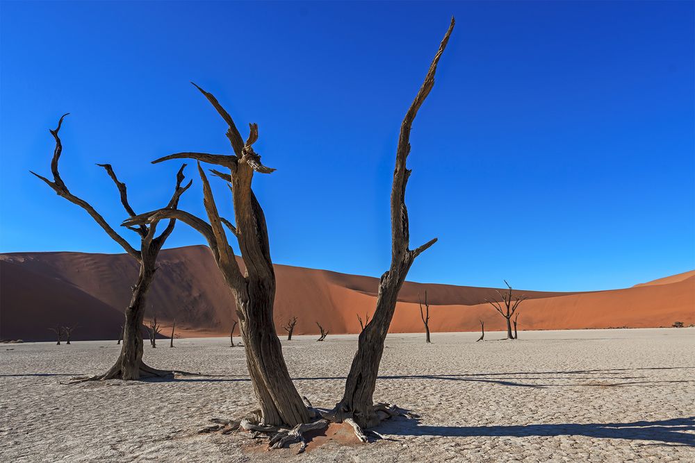 04. Deadvlei 