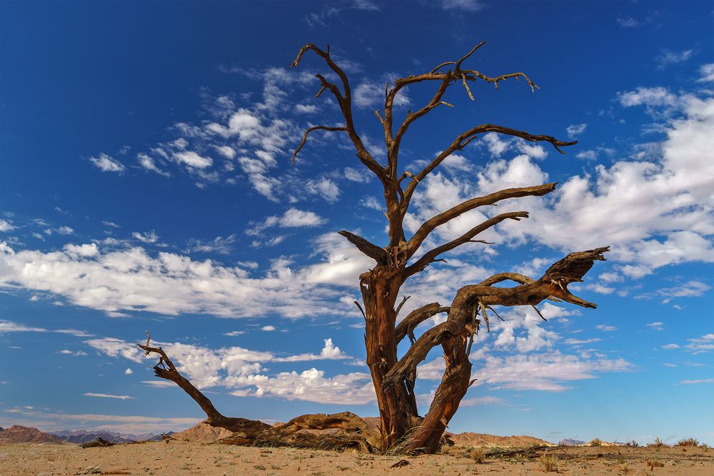 04. Namibia Wildlife Resorts Sesriem