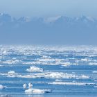 040-20230626 - Spitzbergen-Im arktischen Packeis - _19A5670-Bearbeitet