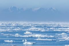 040-20230626 - Spitzbergen-Im arktischen Packeis - _19A5670-Bearbeitet