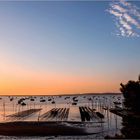 04.09.14-L'Herbe (Cap Ferret)