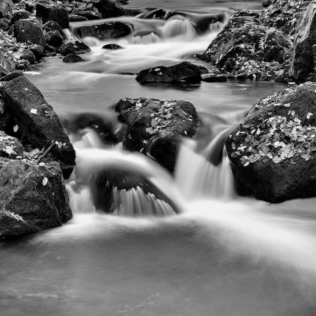 #041 Foto & Bild | fotokunst, monochrome fine art, monochrome Bilder ...