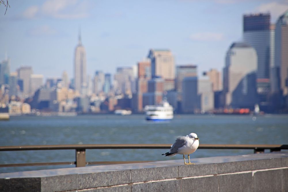 Liberty Island von Diana Drechsler