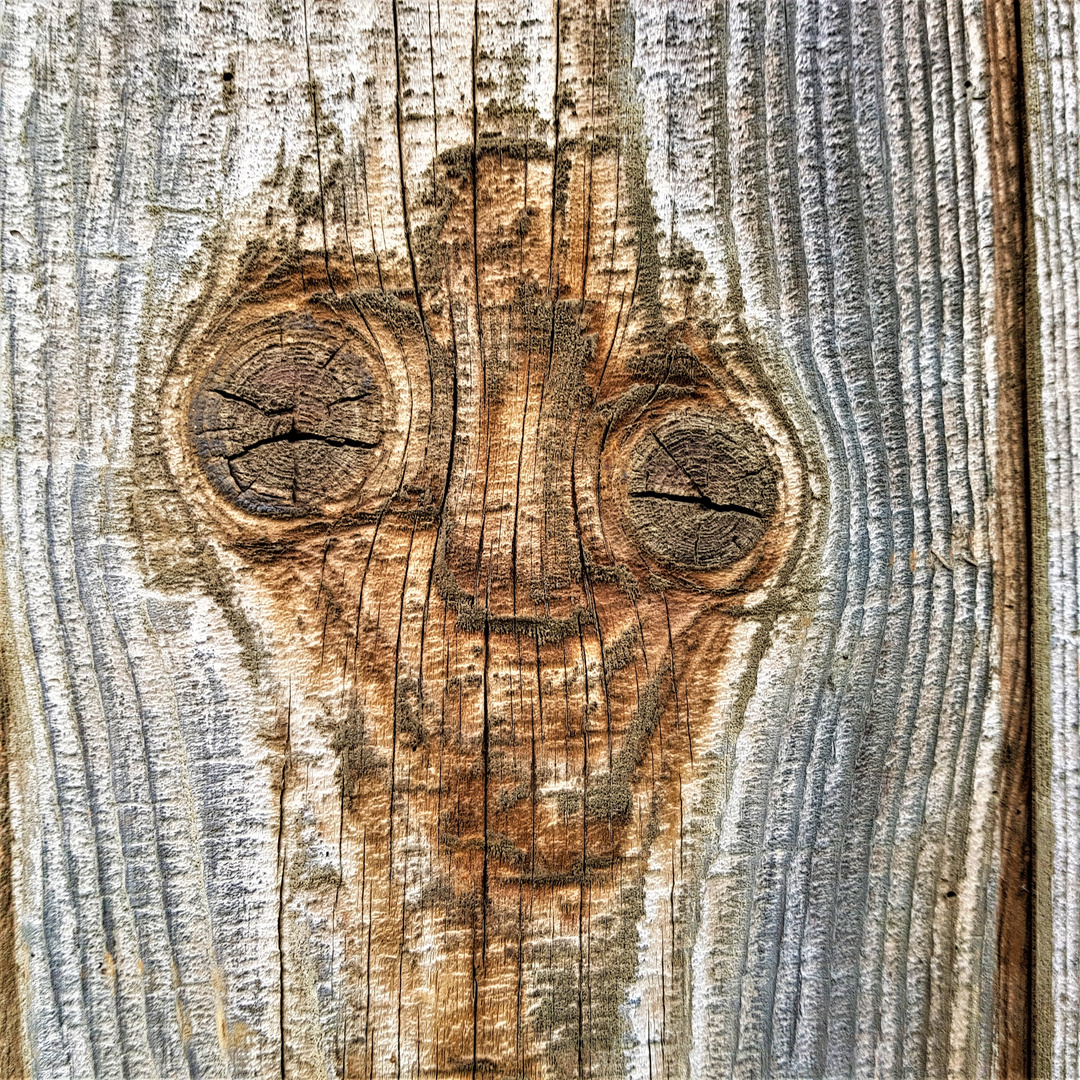 043  Spiegelbild einer alten Dame in Holz