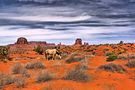 Monument Valley by Peter U.