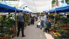 046 - Tashkent - Oloy Bazaar