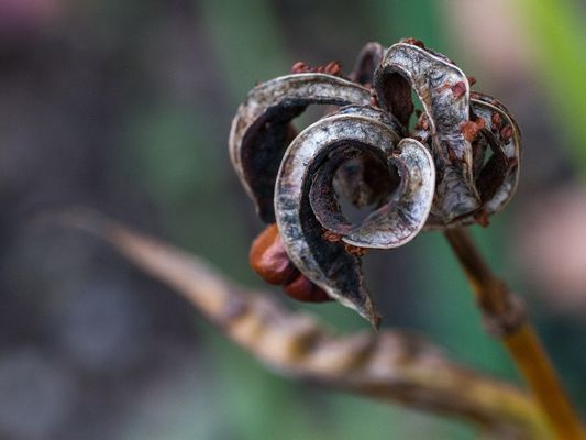 047 Abstrakt_Heinz Schaub