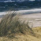 0472-strandhafer