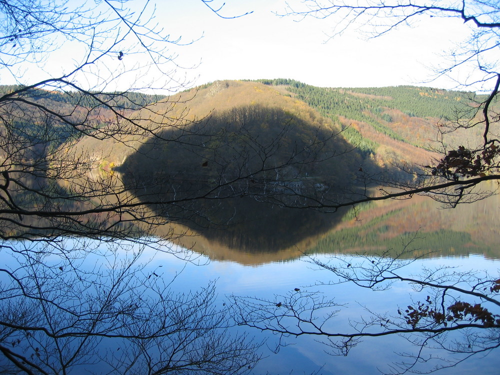 04859 Schattenspiel im Nationalpark Eifel