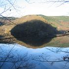 04859 Schattenspiel im Nationalpark Eifel