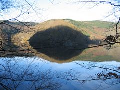 04859 Schattenspiel im Nationalpark Eifel