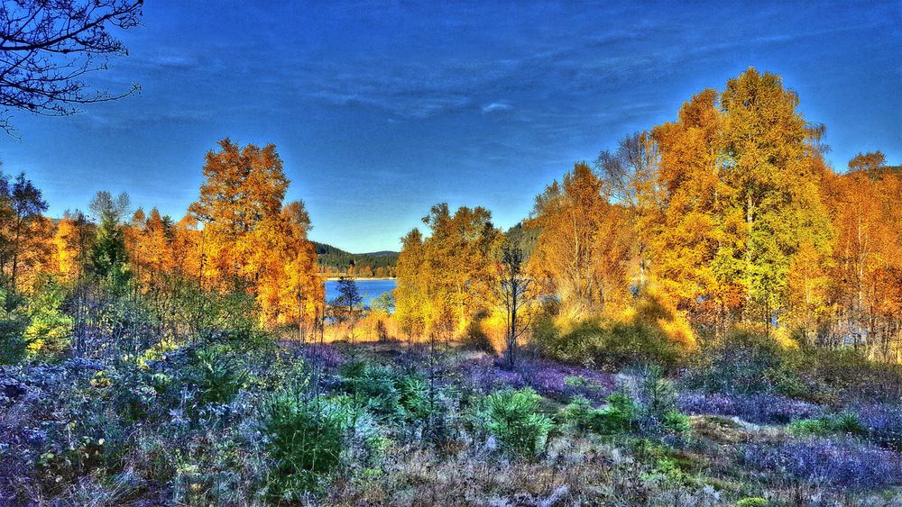 Schluchsee im Herbst von Joachim Klausmann