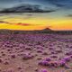 Sunset over Great Karoo