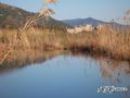 Reedy Lake and Castle Anamur by aziyacamur 