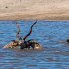 04_Erinnerung an Namibia April 2017