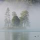 Nebel am Knigssee