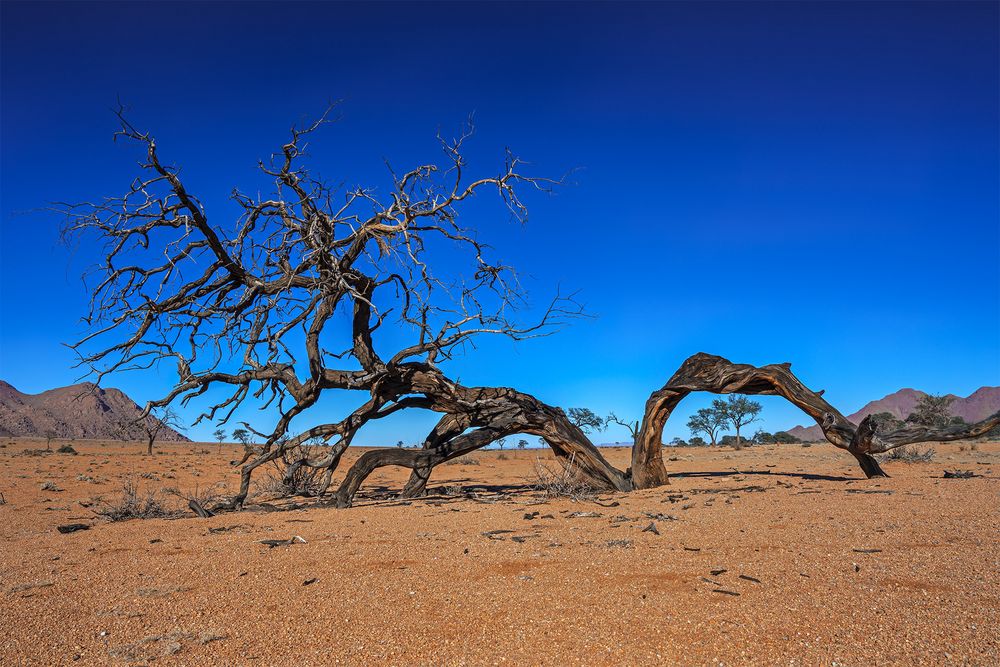 04.Namtib Desert lodge