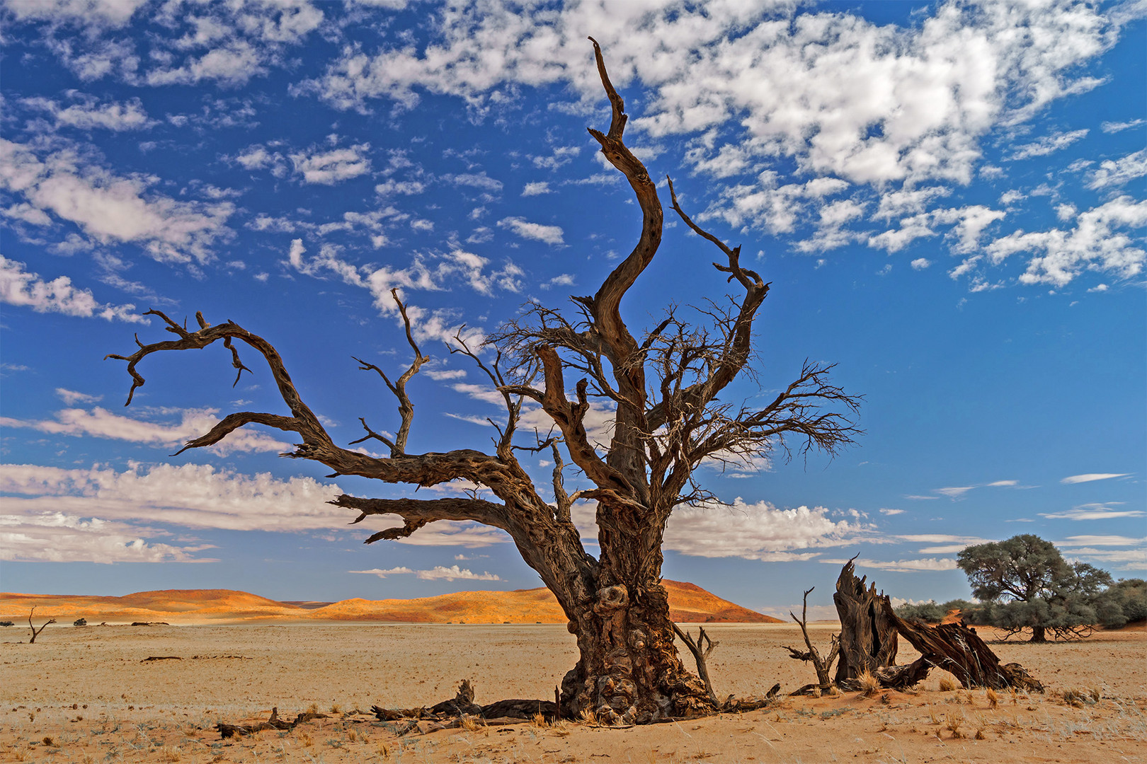 05. Namibia Wildlife Resorts Sesriem 