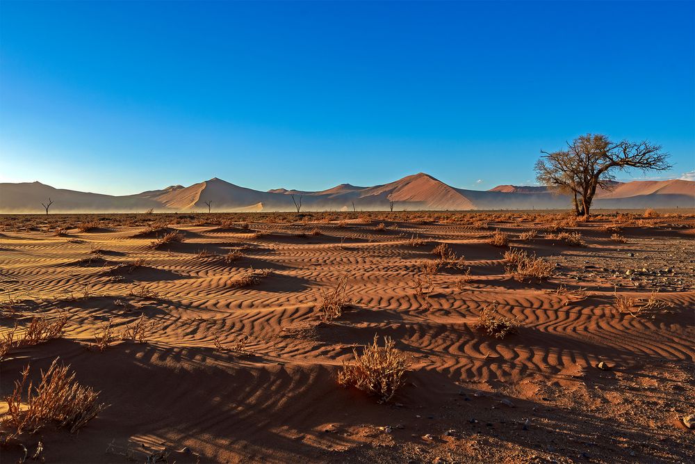 05. Namibia Wildlife Resorts Sesriem 