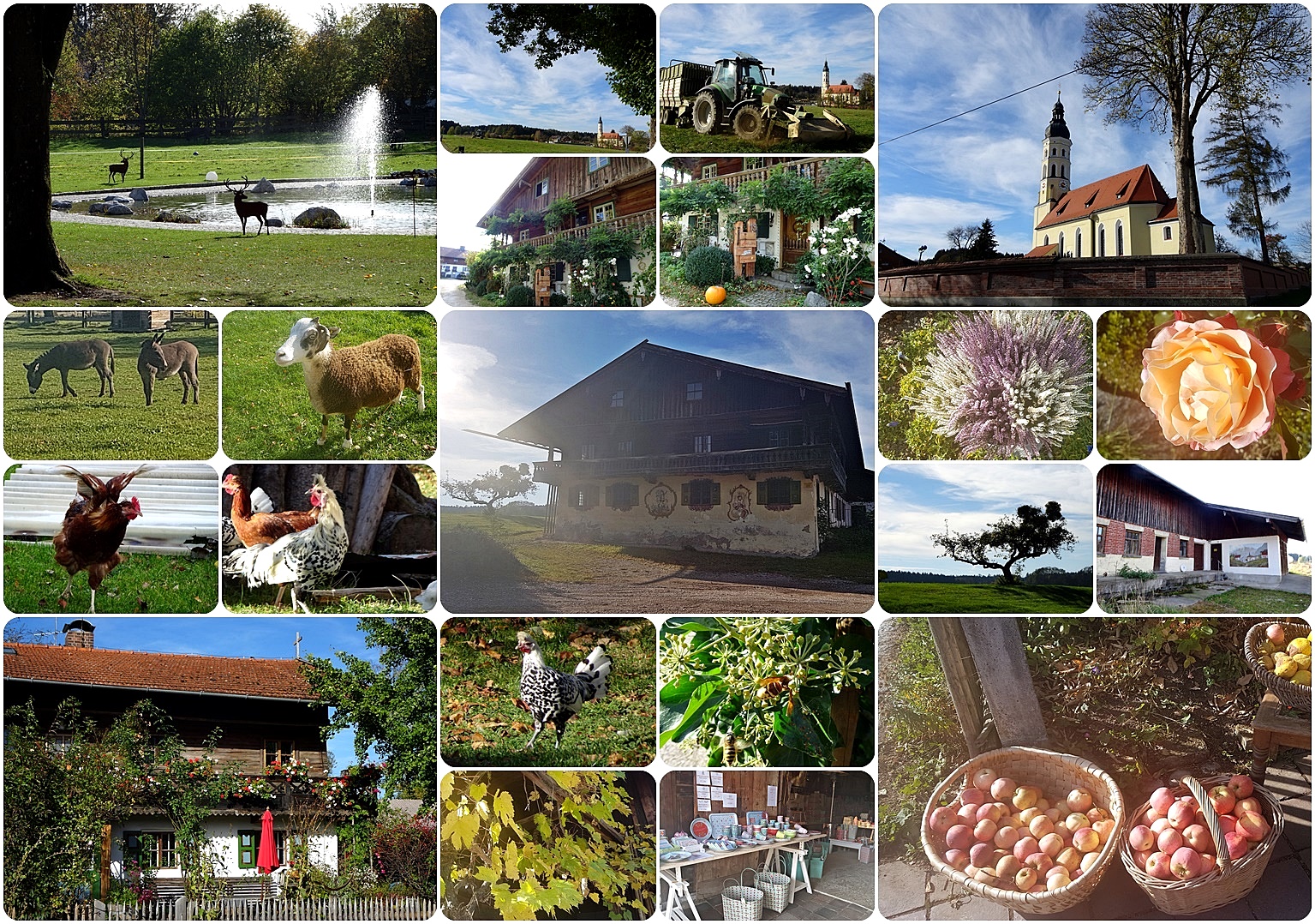 (05 Oktober) Arget bei Sauerlach Foto & Bild | sauerlach, arget, 4 ...