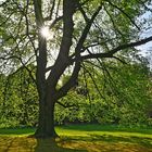 05 Stadtpark Bochum FC