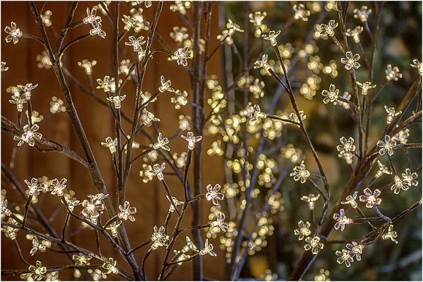 050 (20) LED_Heinz Schaub