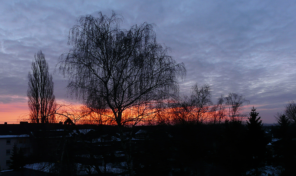 05.01.2011 - halbneun morgens - minus 3 Grad