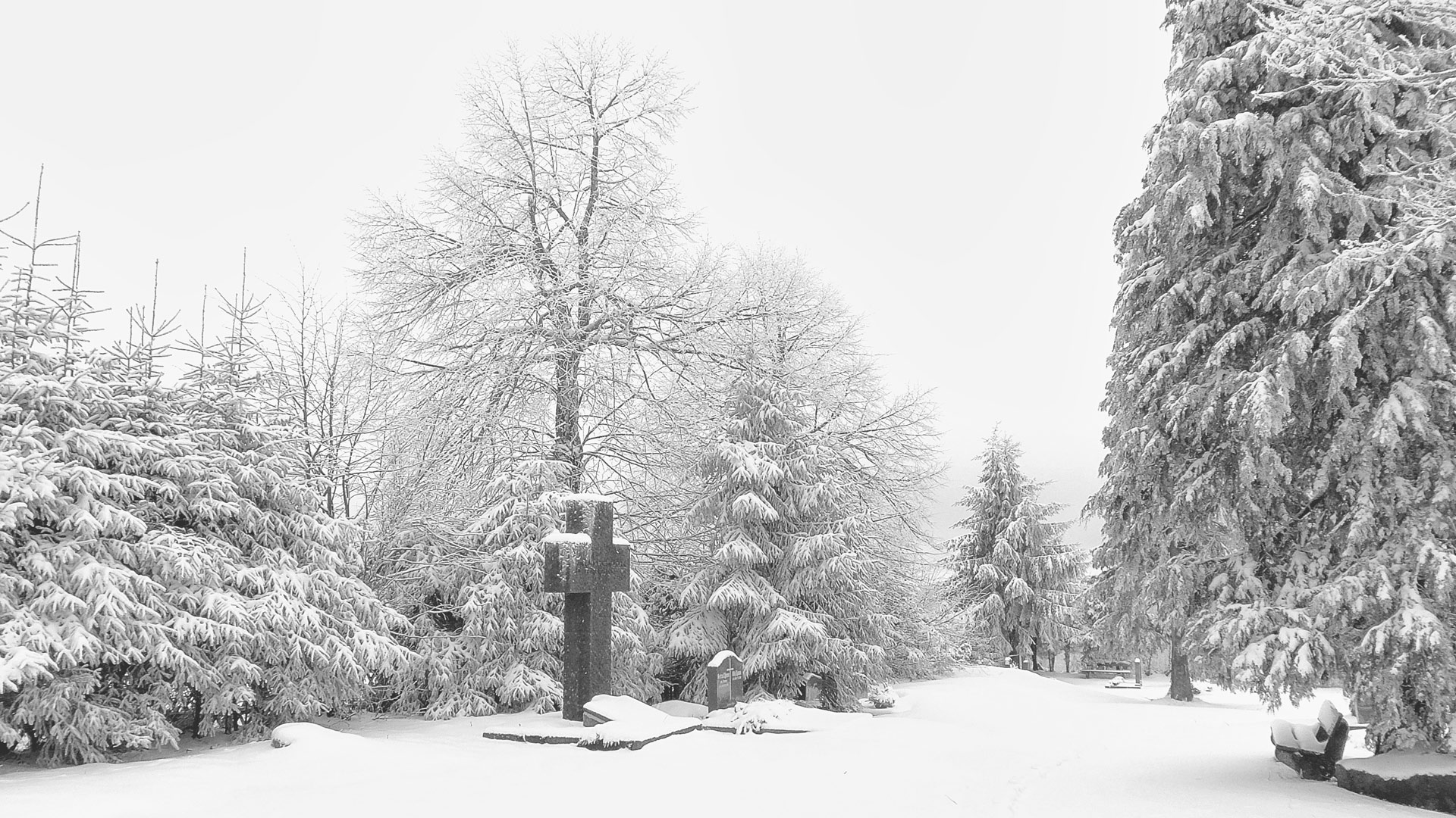 05.02.2018 Es ist KALT