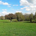 05.05.2020  Weit- und  Durchblick bis  zum Dorf Lösten