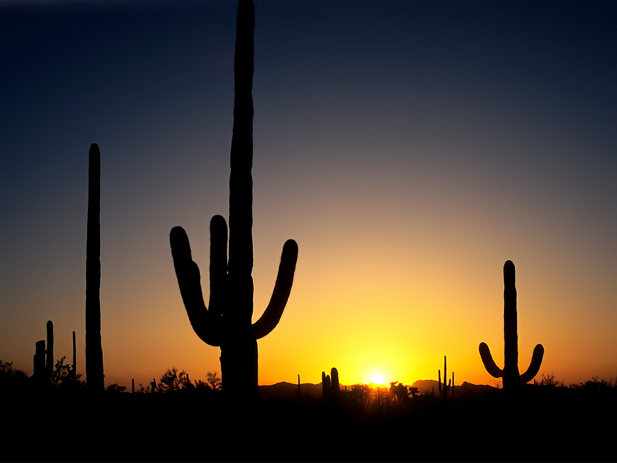 0510 - Arizona Sunset