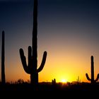 0510 - Arizona Sunset