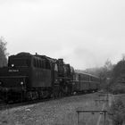 052 mit Schienenbus bei der Einfahrt von Steinsfurt