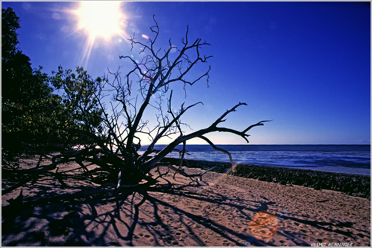 0525 Gegenlicht am Strand 