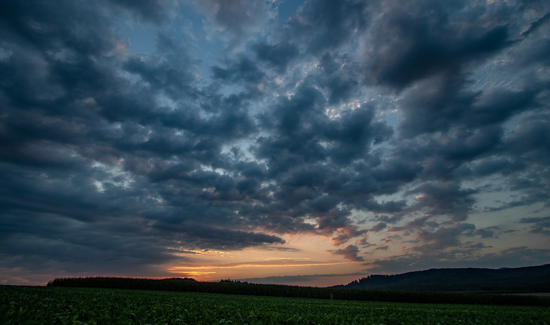 05.45 Uhr in den Feldern