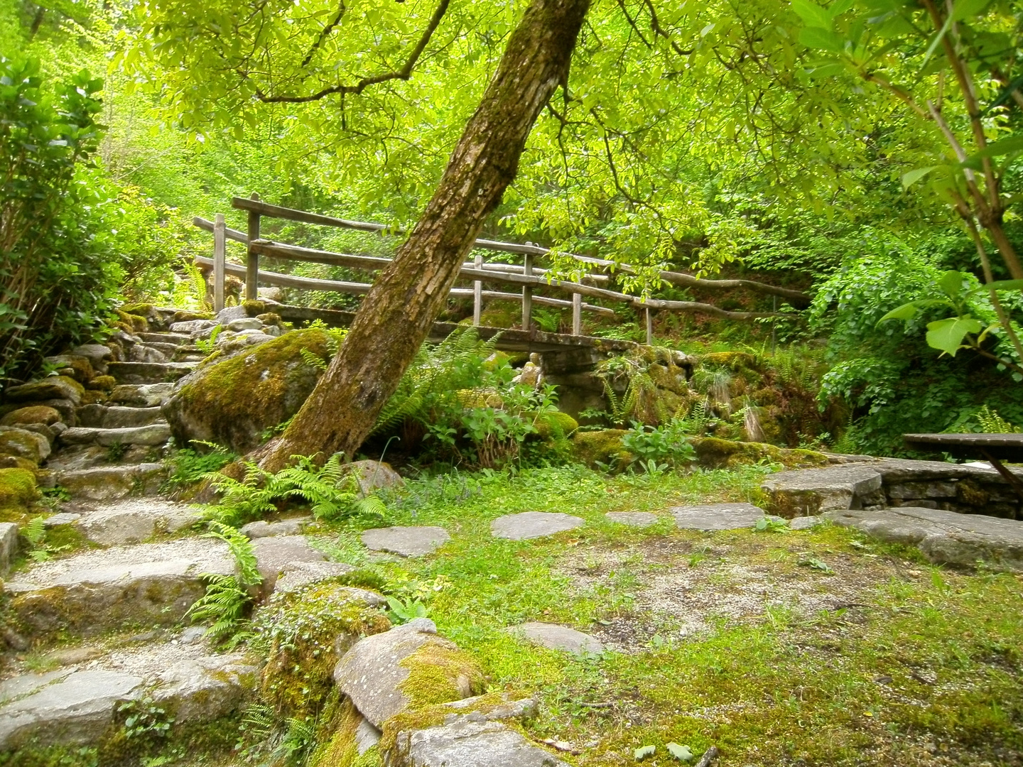 058  auf Säumerpfaden durch das Tessin